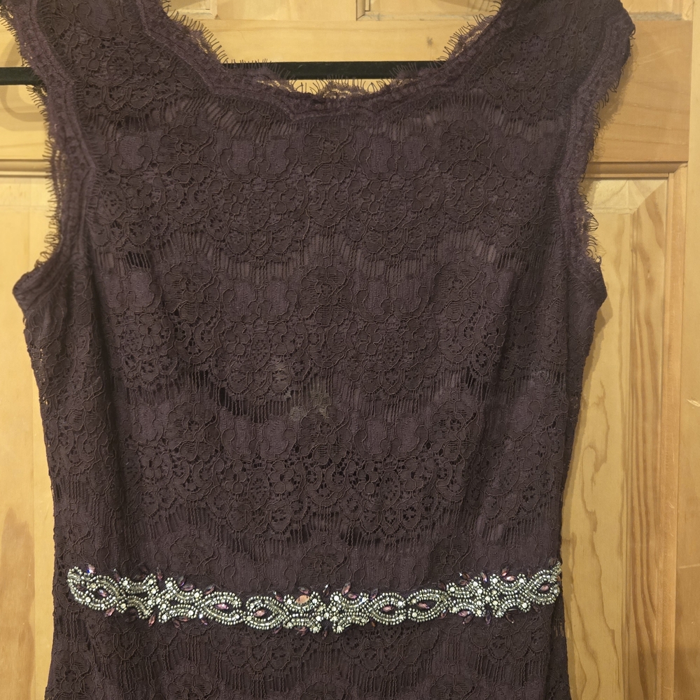 Betsy & Adam Deep Plum Lace Dress with Embellished Waist